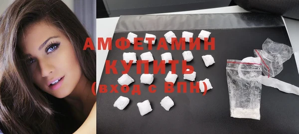 ПСИЛОЦИБИНОВЫЕ ГРИБЫ Заволжье