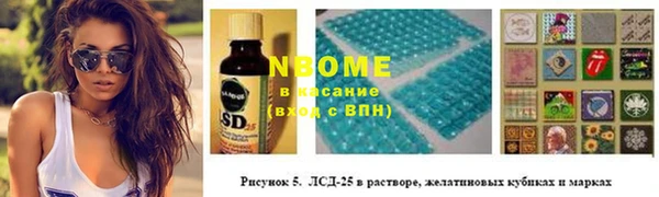 ПСИЛОЦИБИНОВЫЕ ГРИБЫ Заволжье
