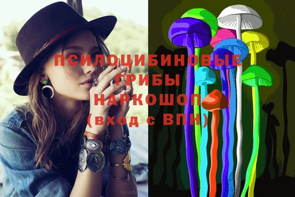 СК Заводоуковск