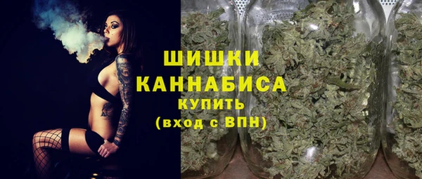 СК Заводоуковск