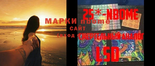 ПСИЛОЦИБИНОВЫЕ ГРИБЫ Заволжье
