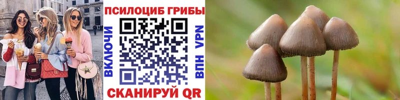 Купить где  Бобров  Галлюциногенные грибы мухоморы 